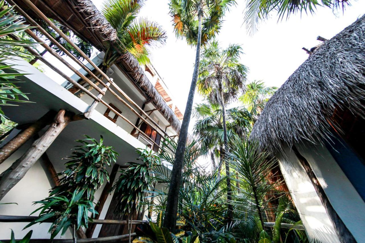Hotel Cormoran Tulum & Cenote エクステリア 写真
