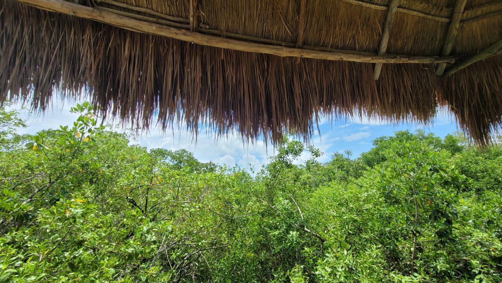 Hotel Cormoran Tulum & Cenote エクステリア 写真